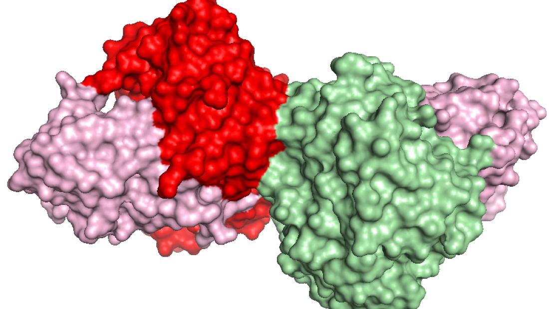 computer generated image on an enzyme
