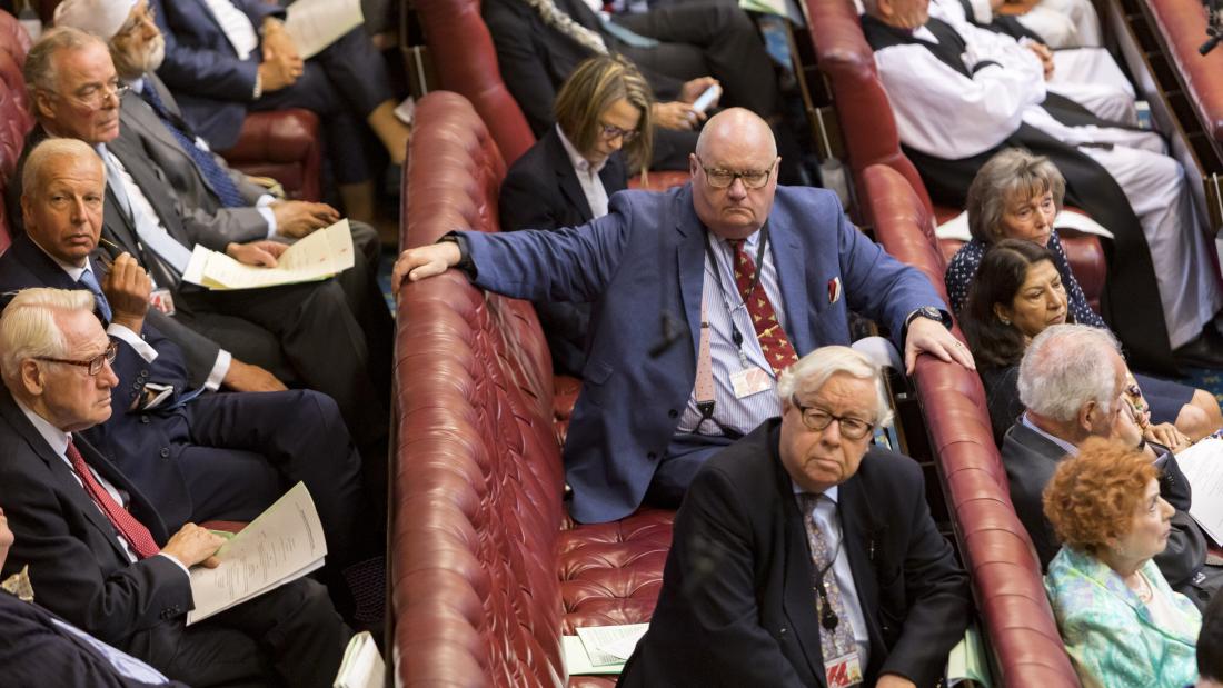 An image of a busy House of Lords
