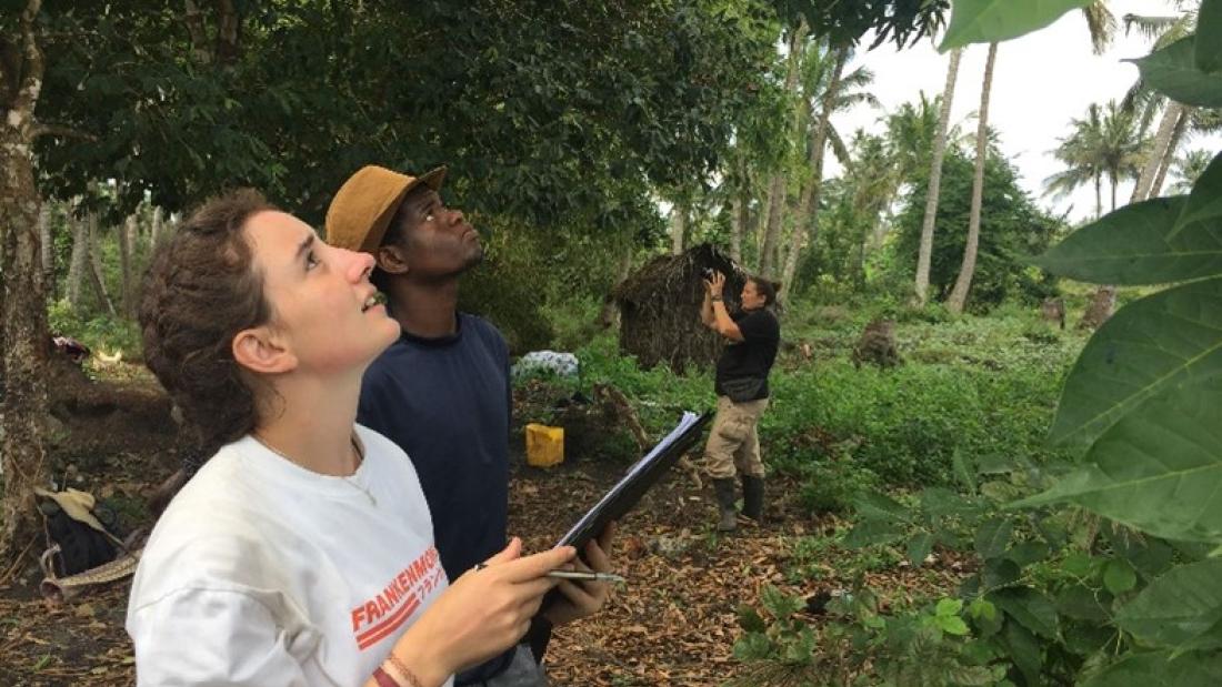 Student working in Zanzibar