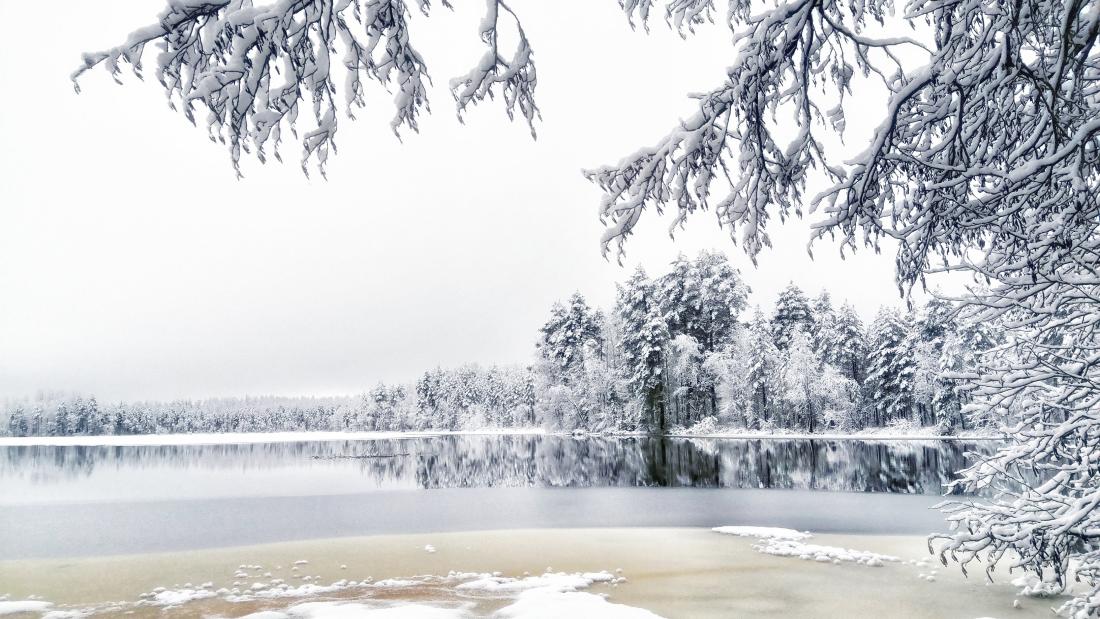 Ice and snow melting on a lake in Finland, surrounded by snow-capped trees 