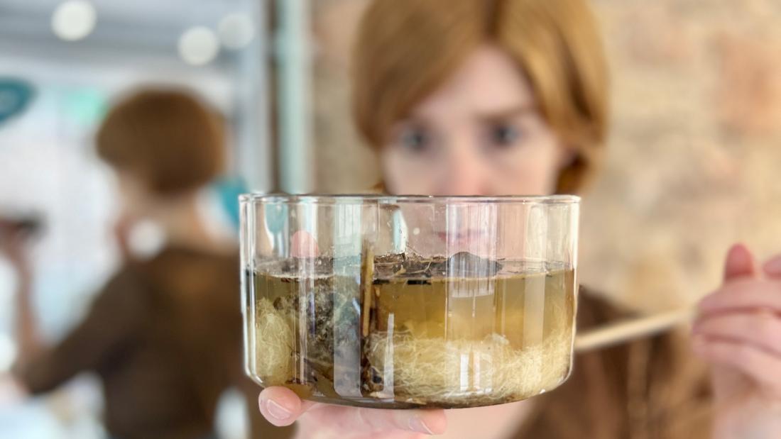 Person holding a bowl full of material from wetlands