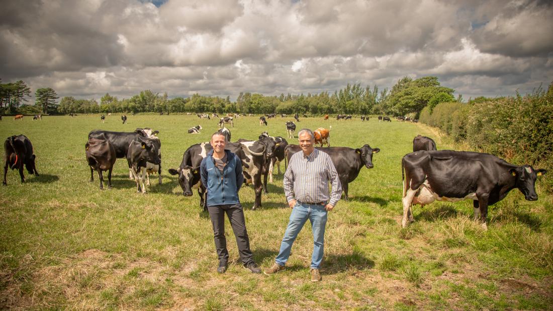 Two people standing in a field with dairy cows in the background