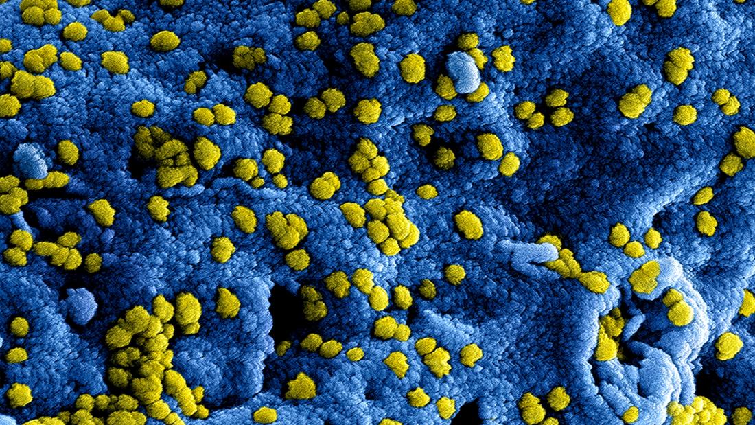 Microscopic Shot Of A Virus