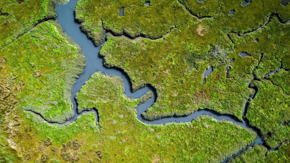 a river meander through wetlands as seen from above.