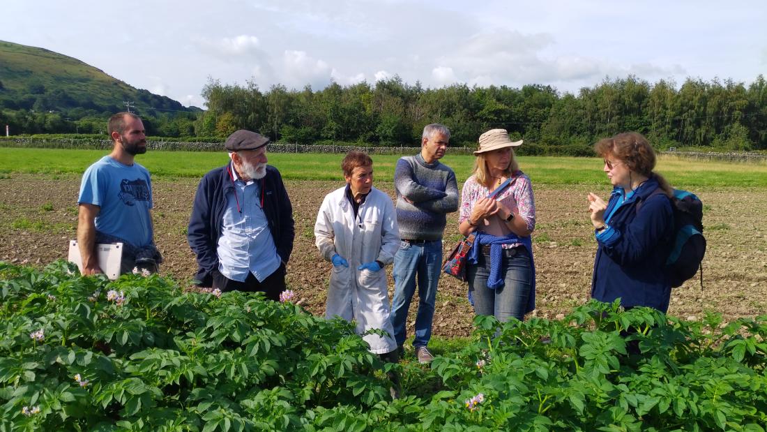 Group of people behind a crop of potatoes with trees and mountains in the background