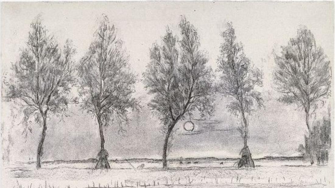 a row of trees beyond a fence drawn in pencil
