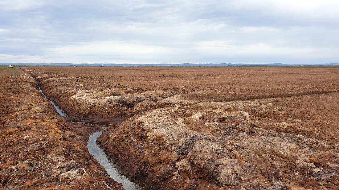 Image of land with machinery in the background