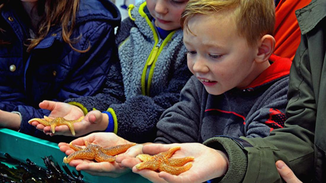 Children holding starfish at the Bangor Science Festival