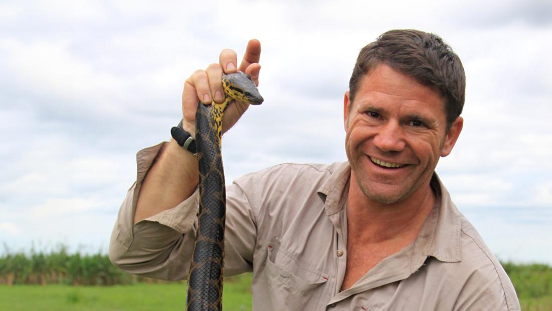 Steve Backshall yn dal neidr