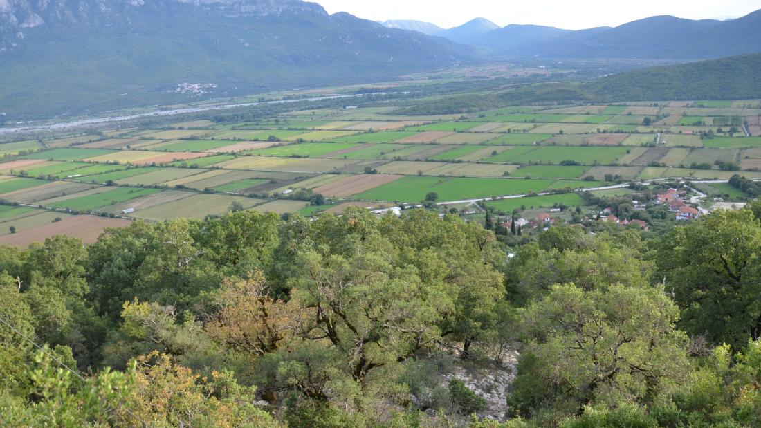 A view of flat agricultural land from a higher aforested area