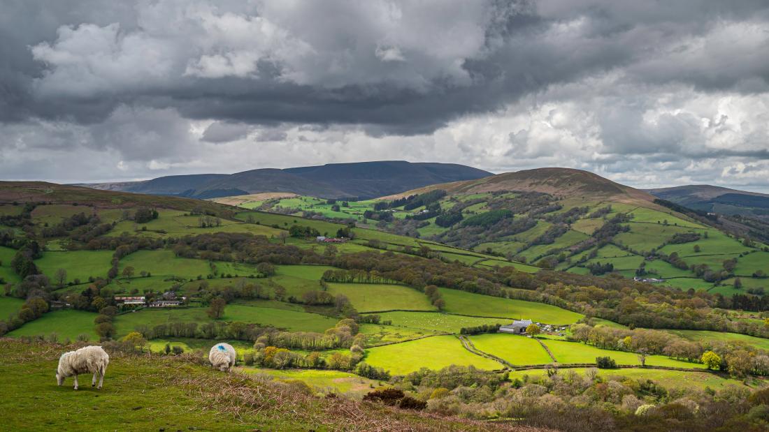 Hills and fields of Mid Wales