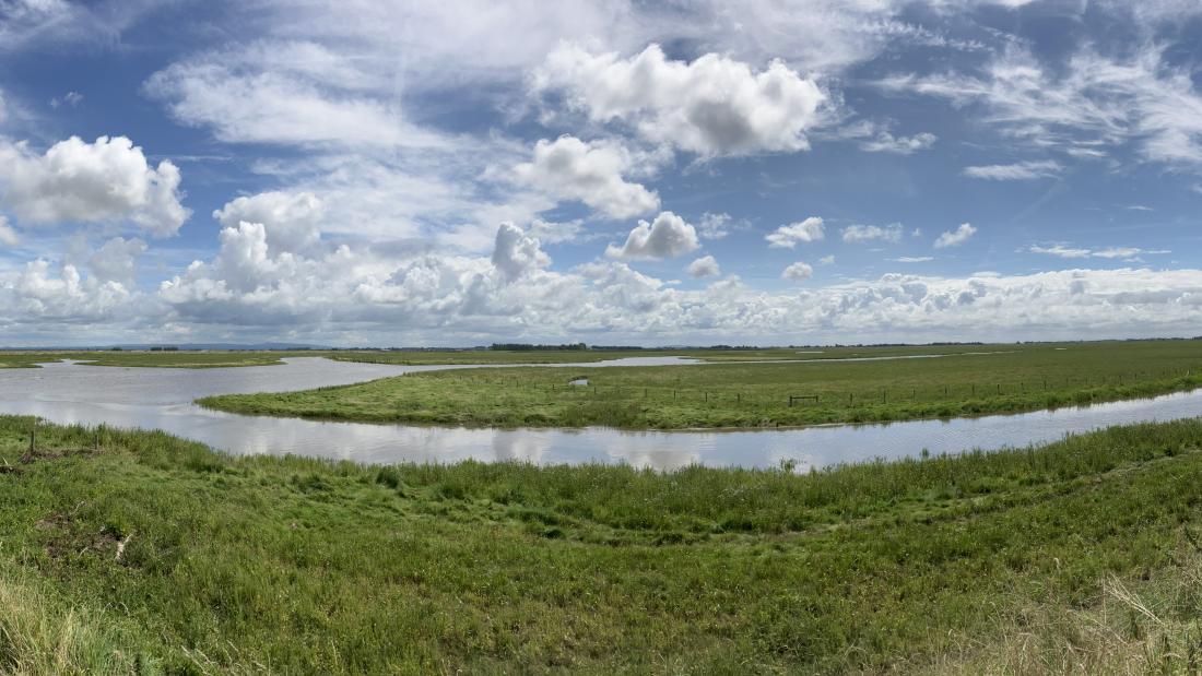  a panoramic view of an estuary running through a saltmarsh