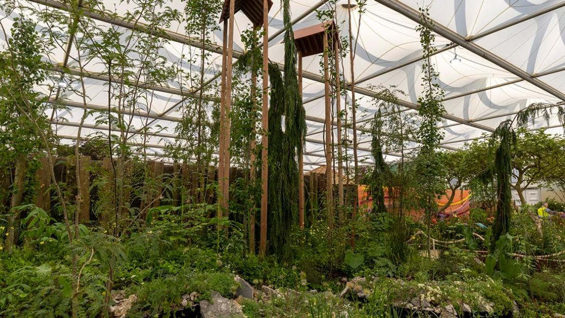 Picture of a garden at Chelsea Flower Show