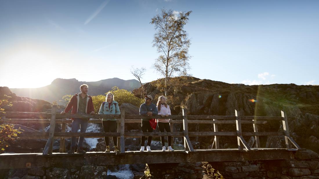 outdoor students team learning sunny