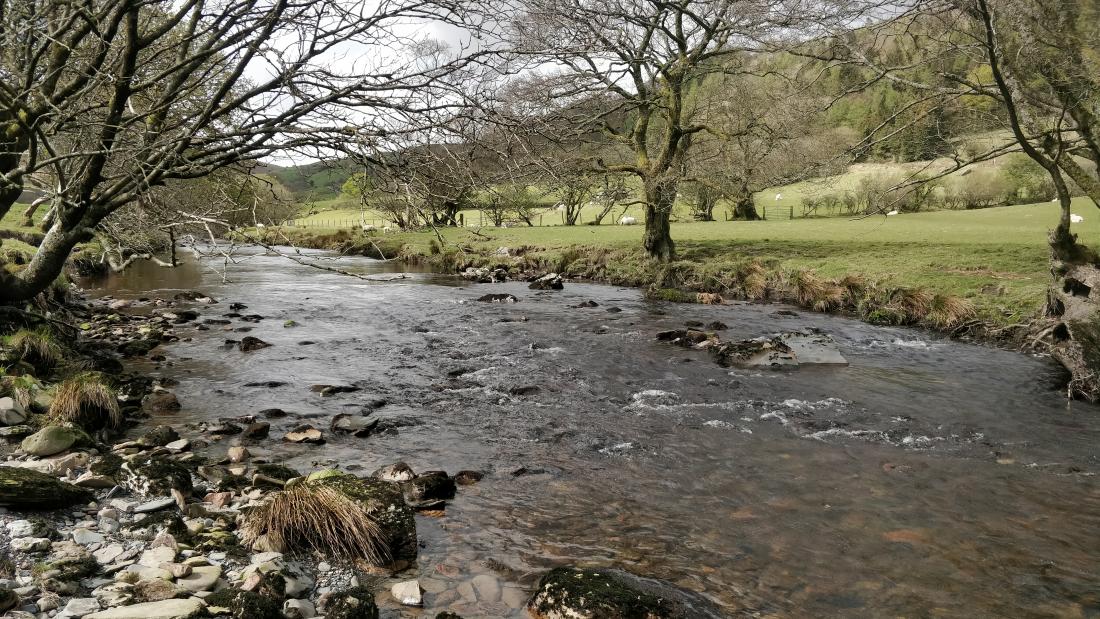  a river runs from left to right