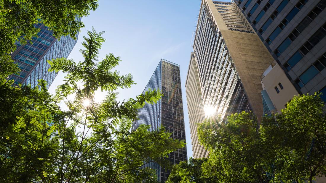 High rise buildings with greenery