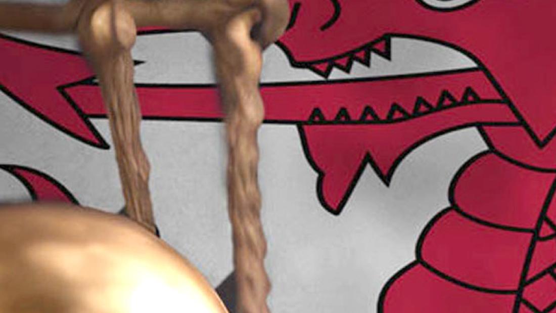 Law books with welsh flag in background