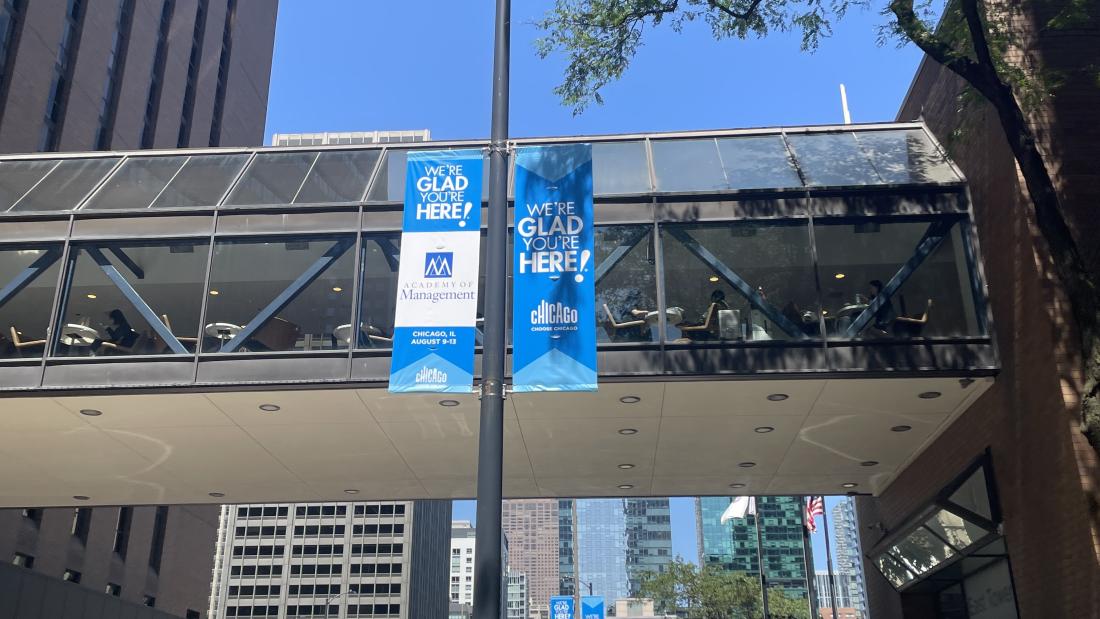 PIcture of the welcome flags at AoM Meeting in Chicago