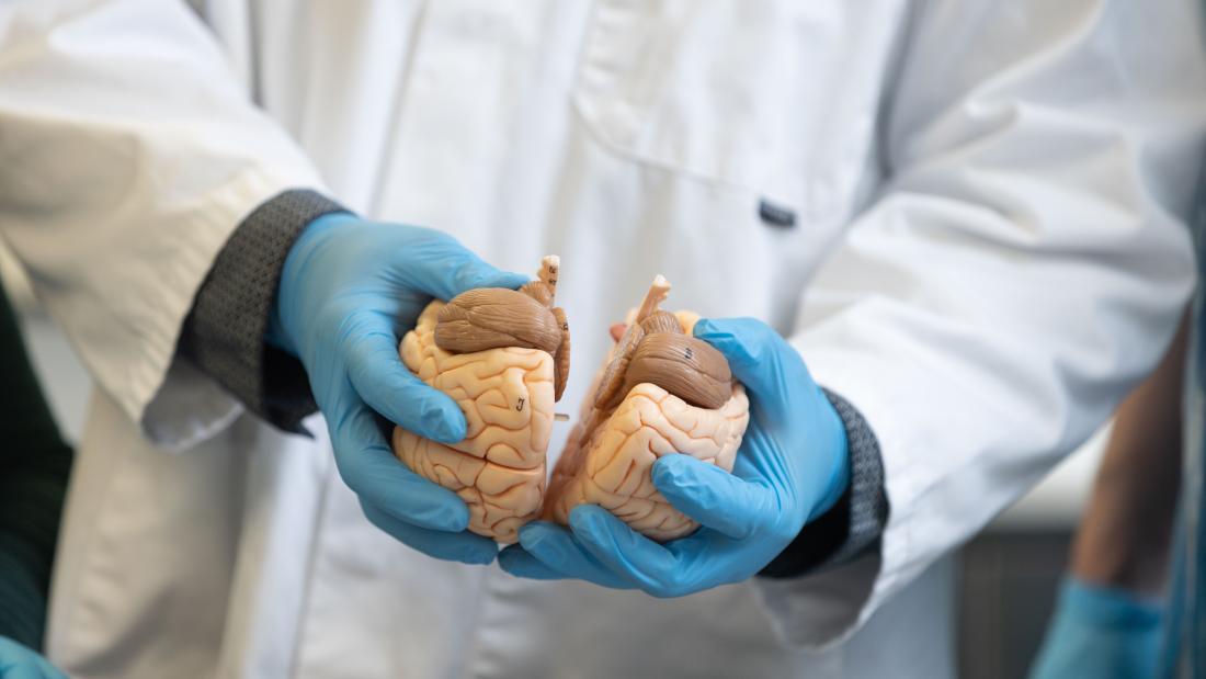 neurology department brain psychology visceral mind