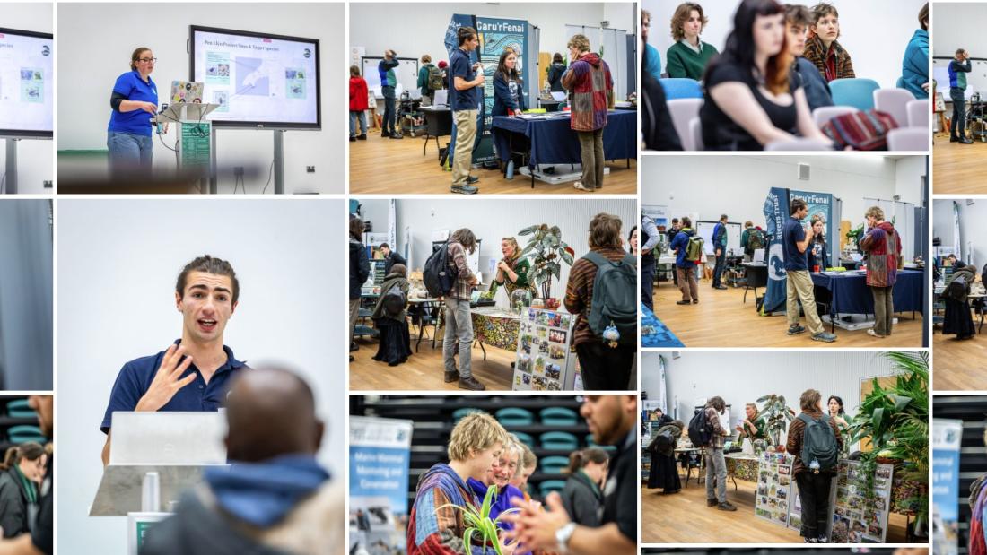 employability activities