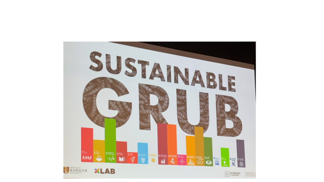 Sustainable Grub presentation slide