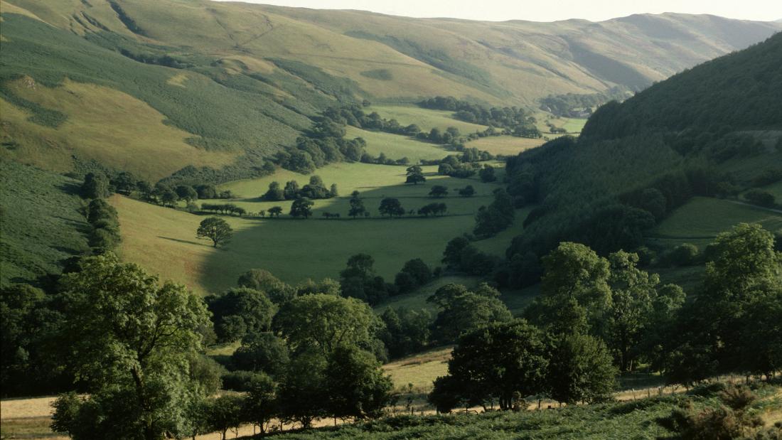 Welsh Landscape
