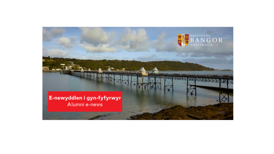 E-news header - Bangor pier