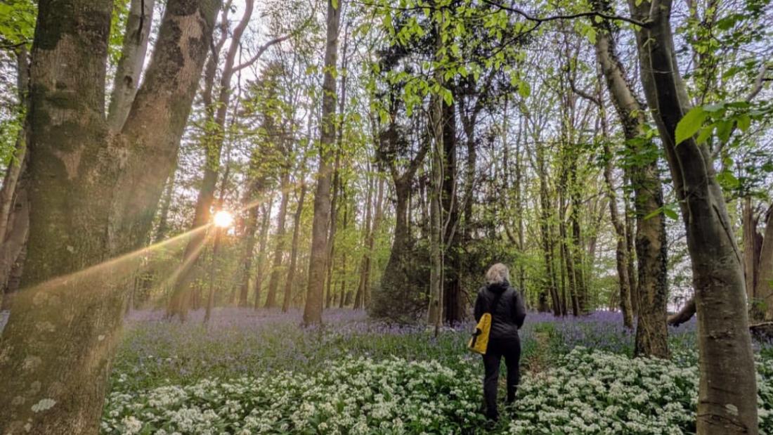 Person yn cerdded drwy goedwig gyda blodau ac awyr las