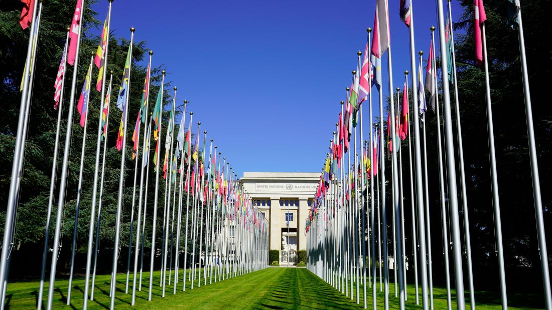 Picture of the United Nations Building with flags