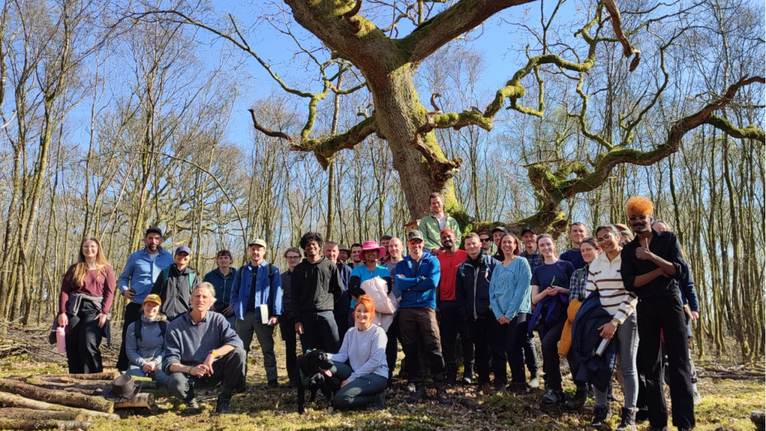 Bangor students in a UK woodland