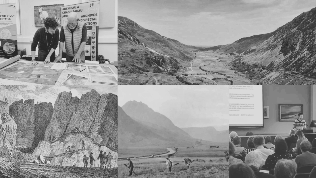 Photo Collage of Alex Ioannou's work