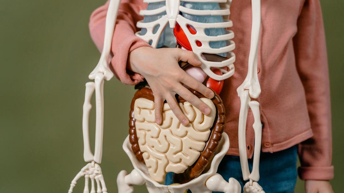 A child holding a skeleton