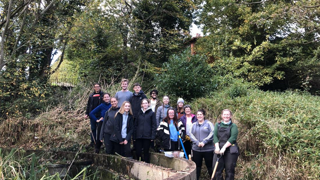 Redevelopment of Brambell pond