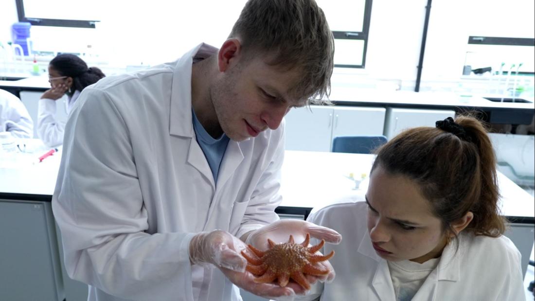 Legacy Giving at Bangor: Making a Lasting Impact