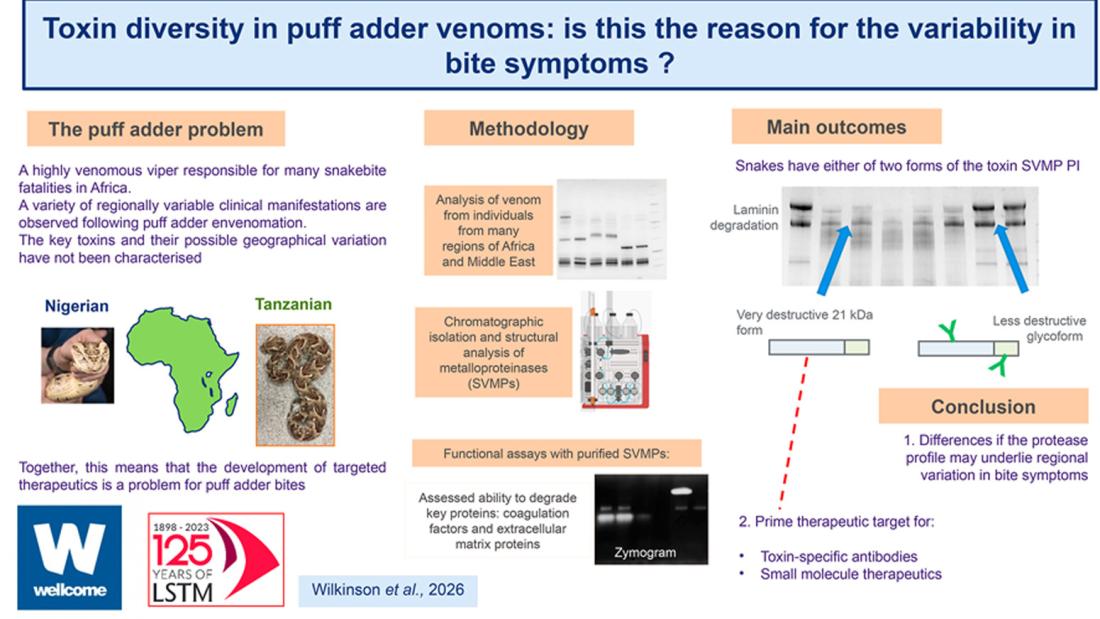 Biochemical characterisation of venom metalloproteinases