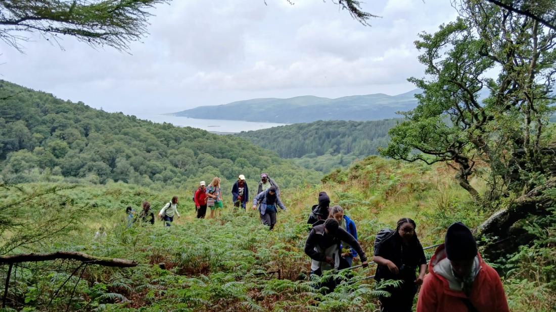 A group of young people walking from a clearing into some trees. There are forests and woodland in the background valley that runs to the sea.