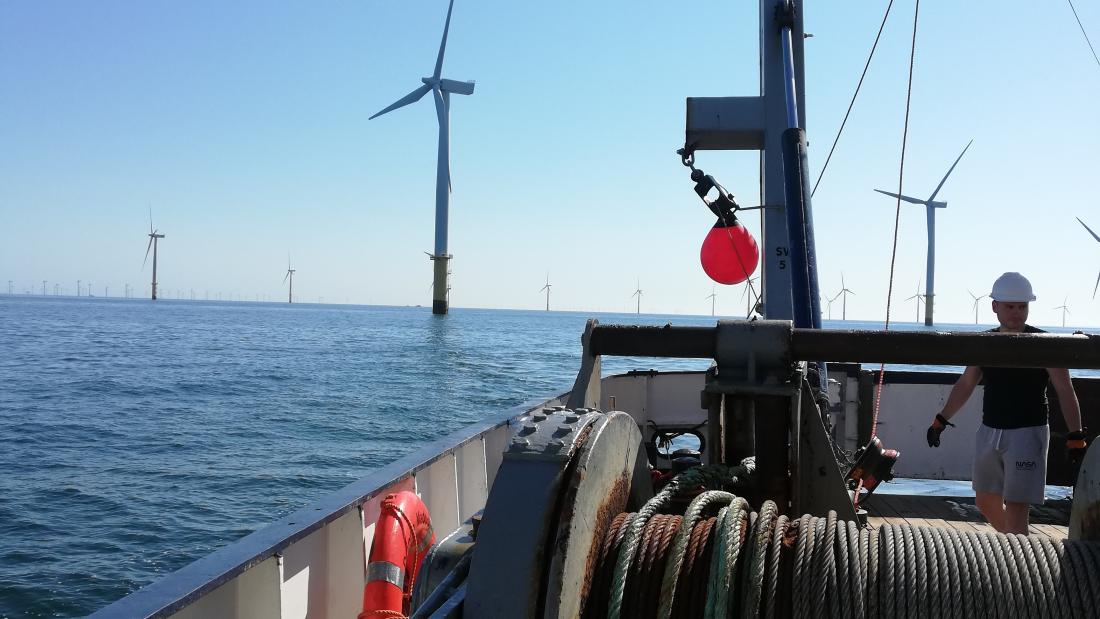 Ship and windmill 