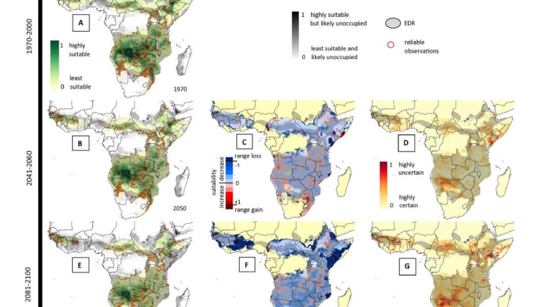 Pintor et al 2026 - Figure 3 