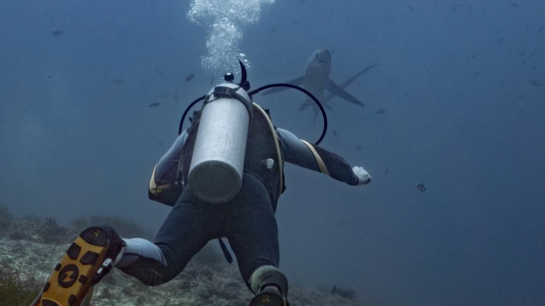 A scuba diver resting on a reef in Leyte, Philippines.