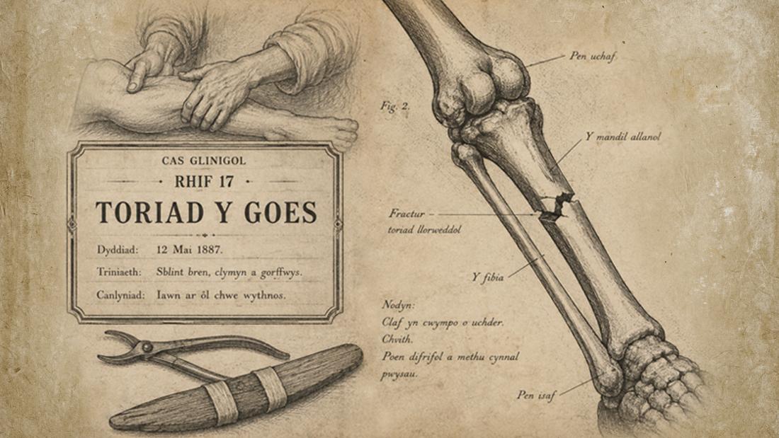Stippl darwing of an old welsh medical casebook