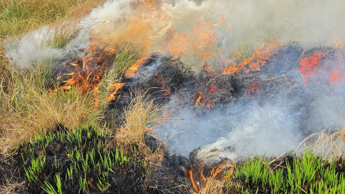 Grass fire across peatland in the Bannau Brycheiniog National Park.