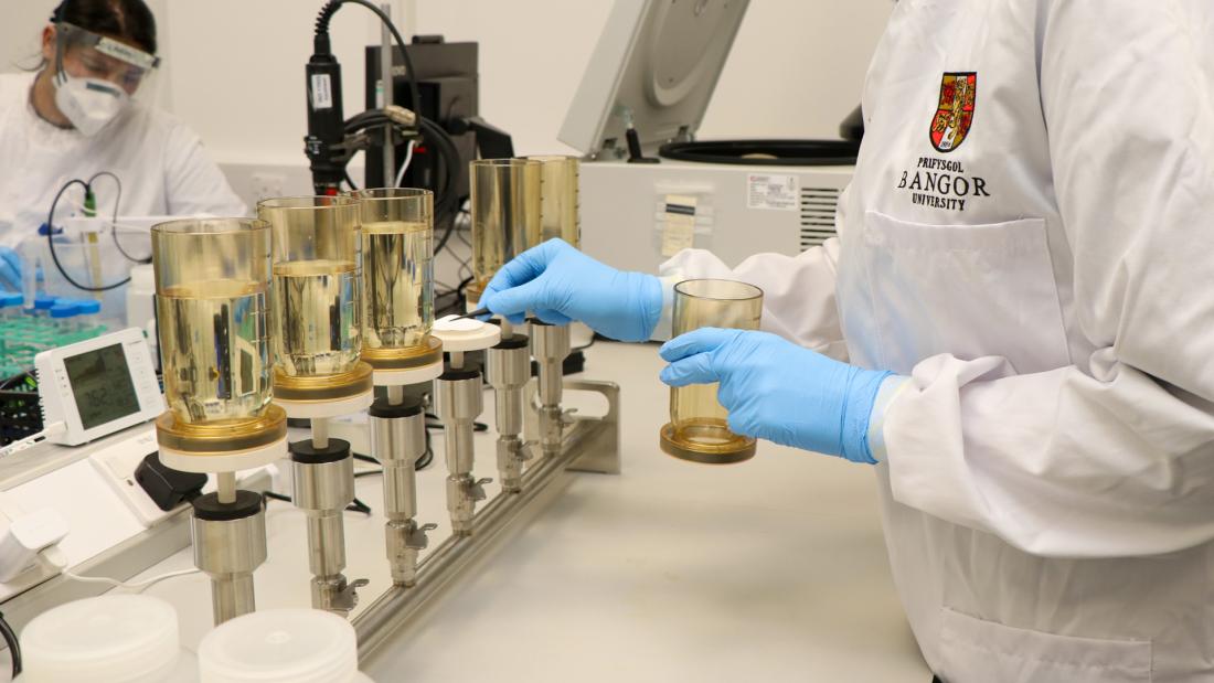 Two scientists in white coats examining water samples in a lab 