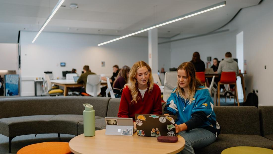 Two students are sat working on laptops at the Social Learning Space Pontio, there are more students sat at tables, working in the background
