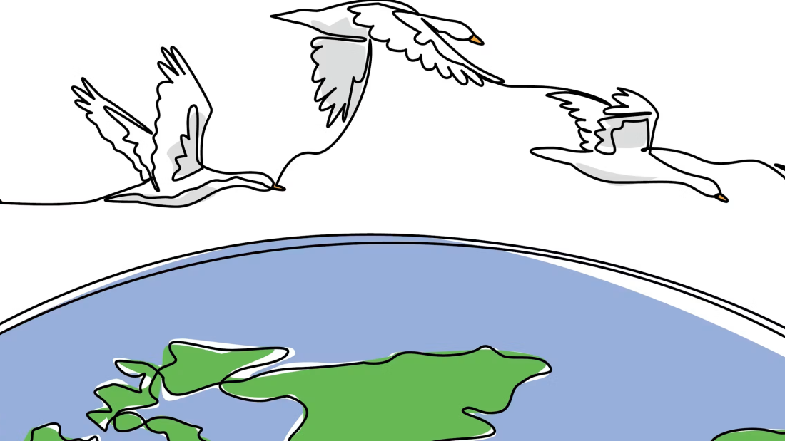 Photo of top of a globe with doves