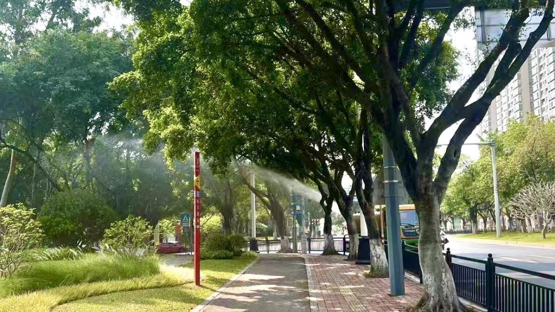 Urban vegetation 