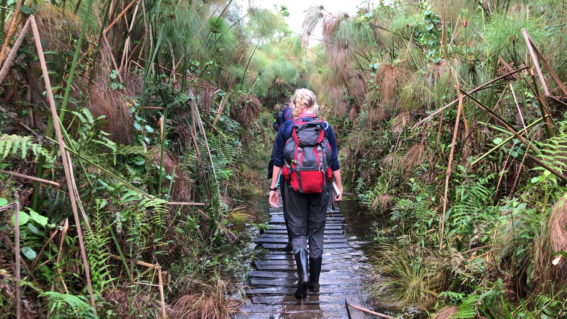 Student walking through a forest in Uganda on field trip