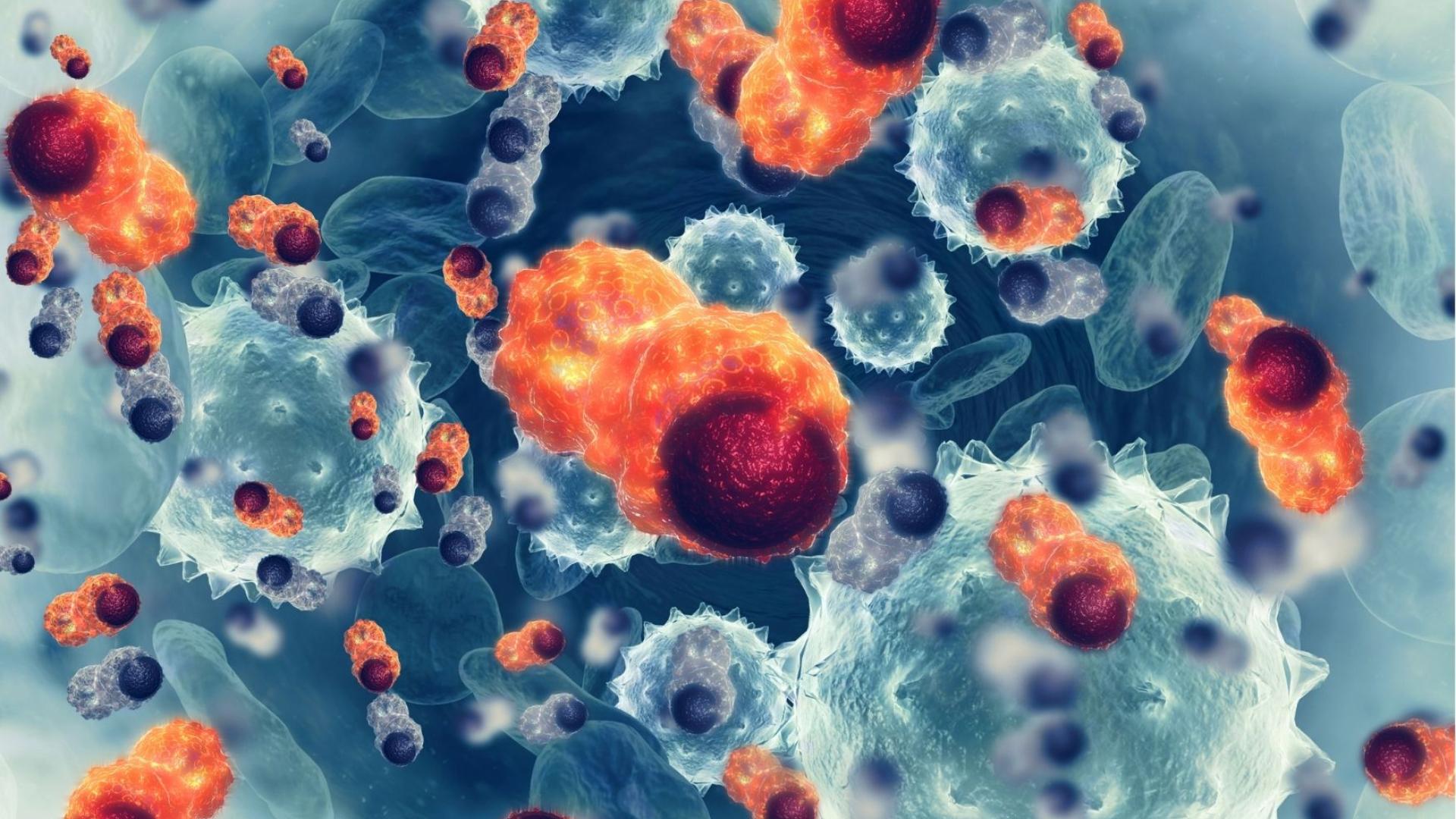 North West Cancer Research Institute - Bangor | Bangor University