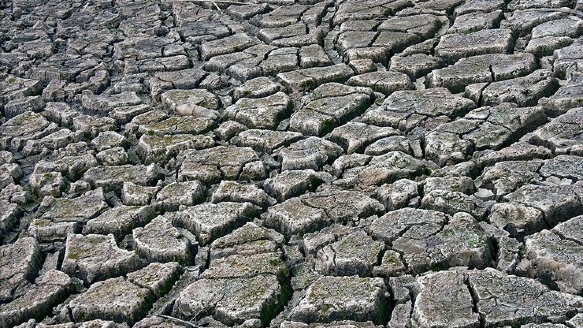 Ecological doom-loops: why ecosystem collapses may occur much sooner ...