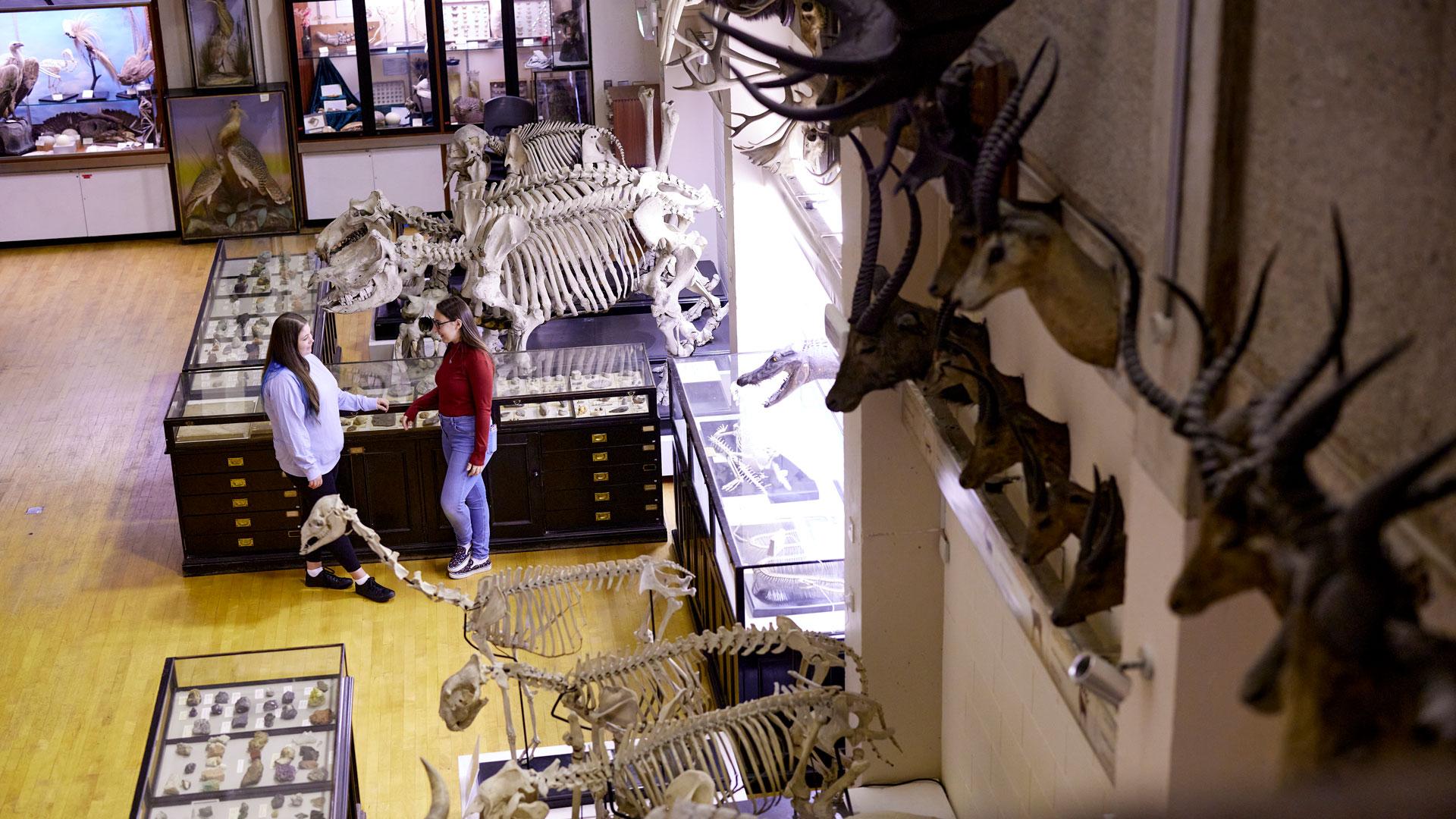Animal Study Lab