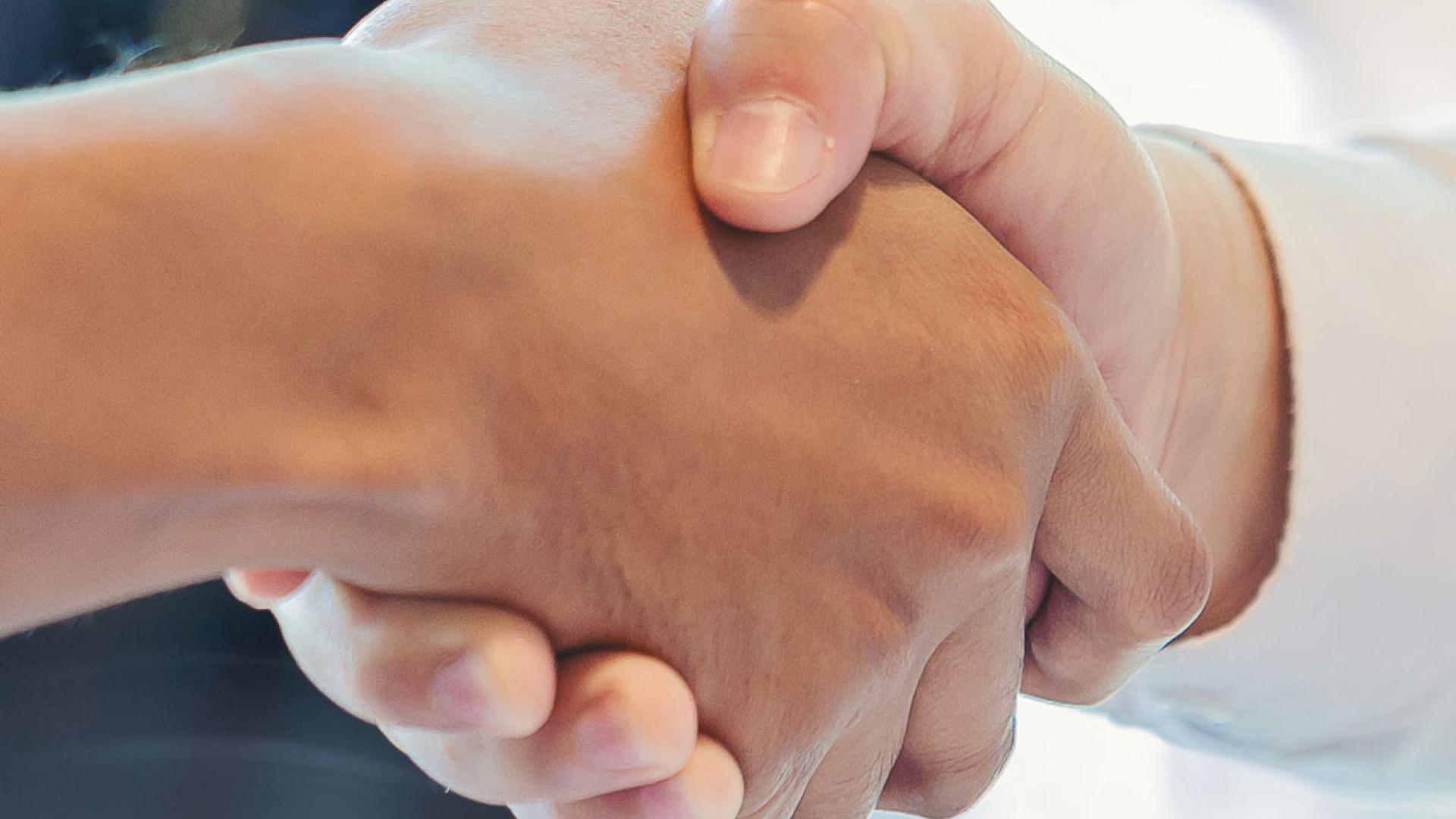 Business hand shake